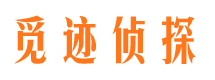 安岳出轨调查